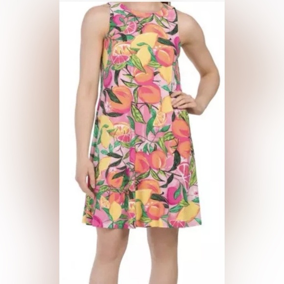 Papagallo Sleeveless Swing Dress Citrus Print Size Large Flowy A Line EUC - Picture 1 of 12